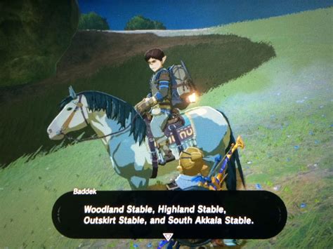 unique horses botw